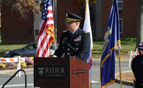 Veterans Day Flag