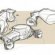 Car Design online sketching