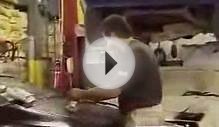 Automotive Body and Related Repairers